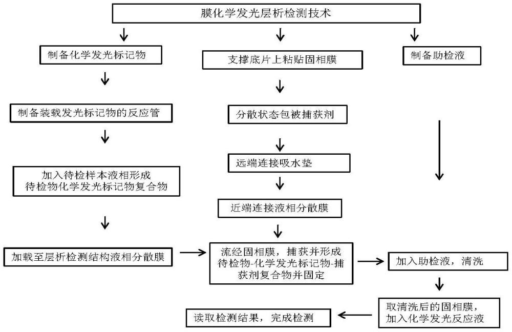 一种膜化学发光层析检测技术及其应用的制作方法